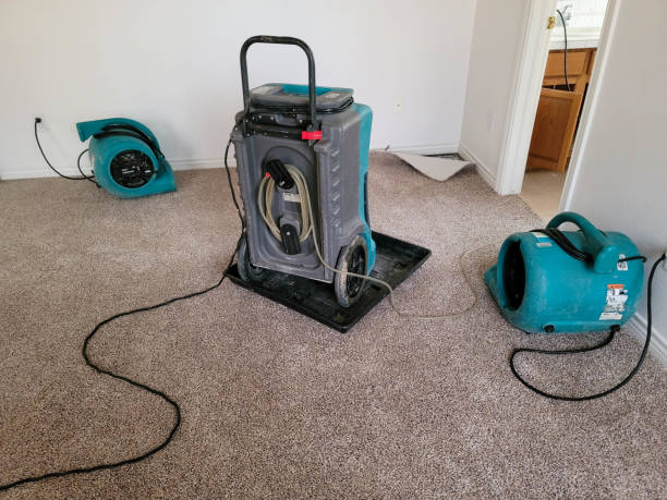 Best Flooded house restoration  in Highland, AR