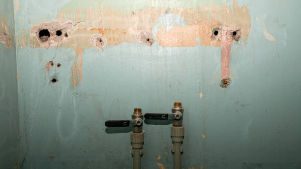 Best Water damage restoration near me  in Highland, AR